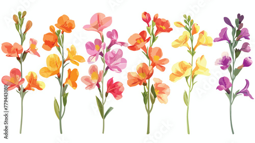 Set with Freesia flowers on white background flat vector
