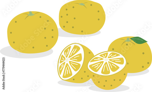 柑橘類である柚子のイラスト