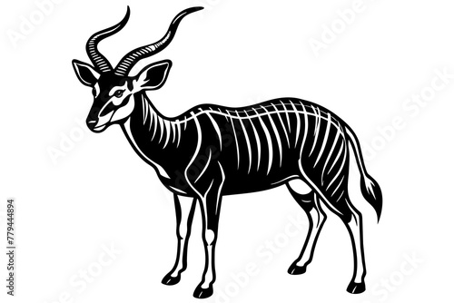 antelope silhouette vector illustration