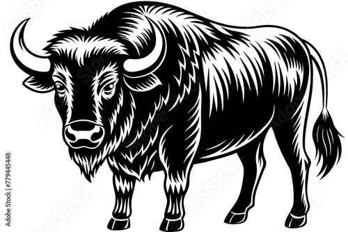 bison silhouette vector illustration