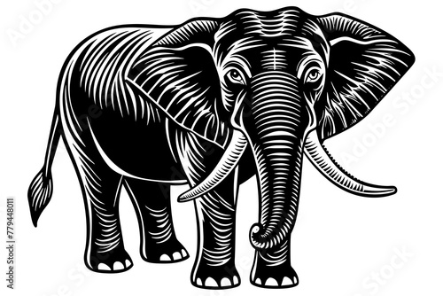 elephant silhouette vector illustration