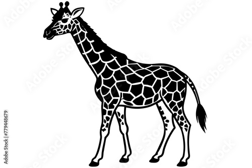 Fototapeta Naklejka Na Ścianę i Meble -  giraffe silhouette vector illustration