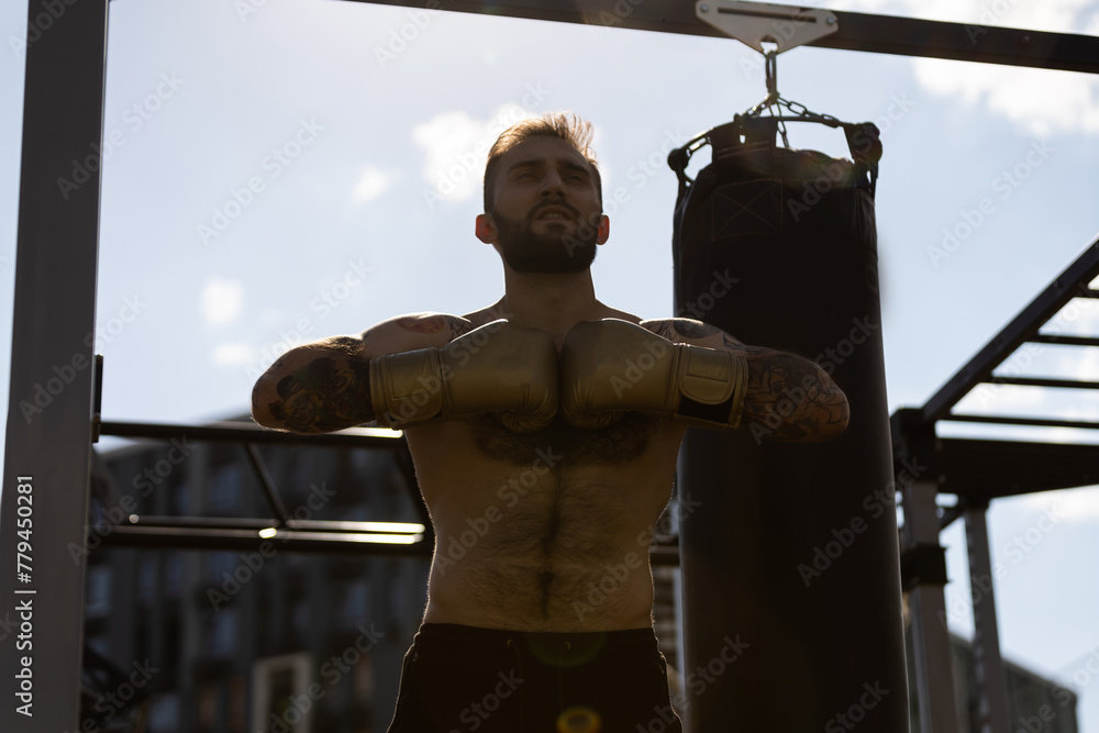 A fighter in the boxing gloves concept portrait - obrazy, fototapety, plakaty 