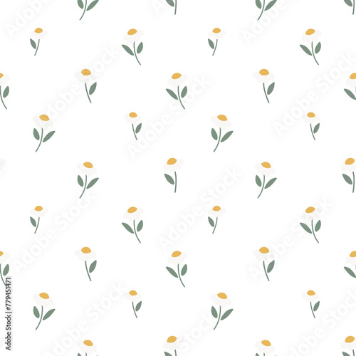 seamless pattern with chamomiles 