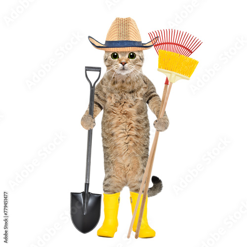 Cat in a straw hat and rubber boots standing with a garden tool in his hands isolated on a white background