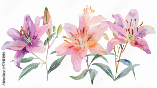 Illustrations of lily flowers. Perfect for greeting ca