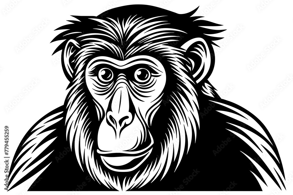 proboscis monkey silhouette vector illustration
