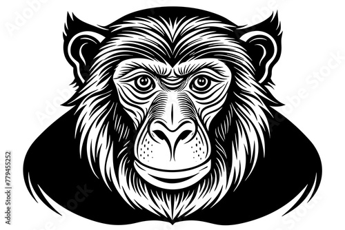 Fototapeta Naklejka Na Ścianę i Meble -  proboscis monkey silhouette vector illustration