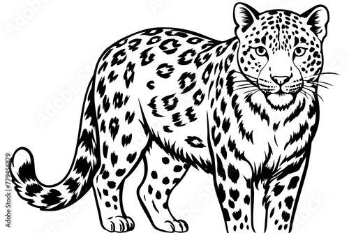 snow leopard silhouette vector illustration 