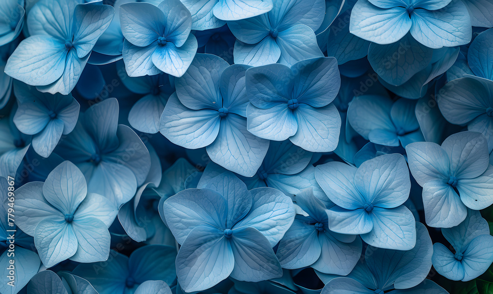 blue hydrangea flowers, Generative AI blue hydrangea flowers, Generative AI