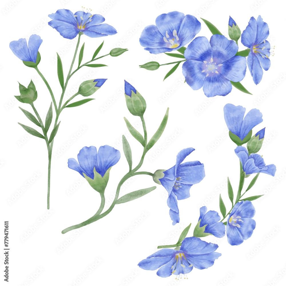 Beautiful Watercolor Flax Flowers - Spring Botanical Design Beautiful Watercolor Flax Flowers - Spring Botanical Design