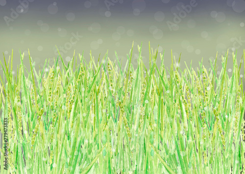 水彩で描いた雨に煙る稲の風景イラスト【手描き】