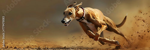 Greyhound race in a competitive race, Exciting Greyhound Sprint: Intense Competition on the Track
