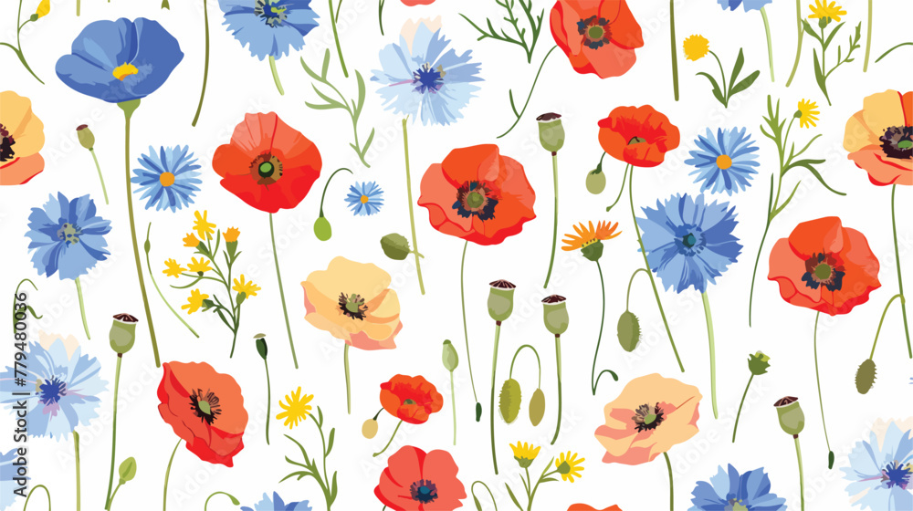 Poppy cornflower wildflowers. Flowers. Vector illustration