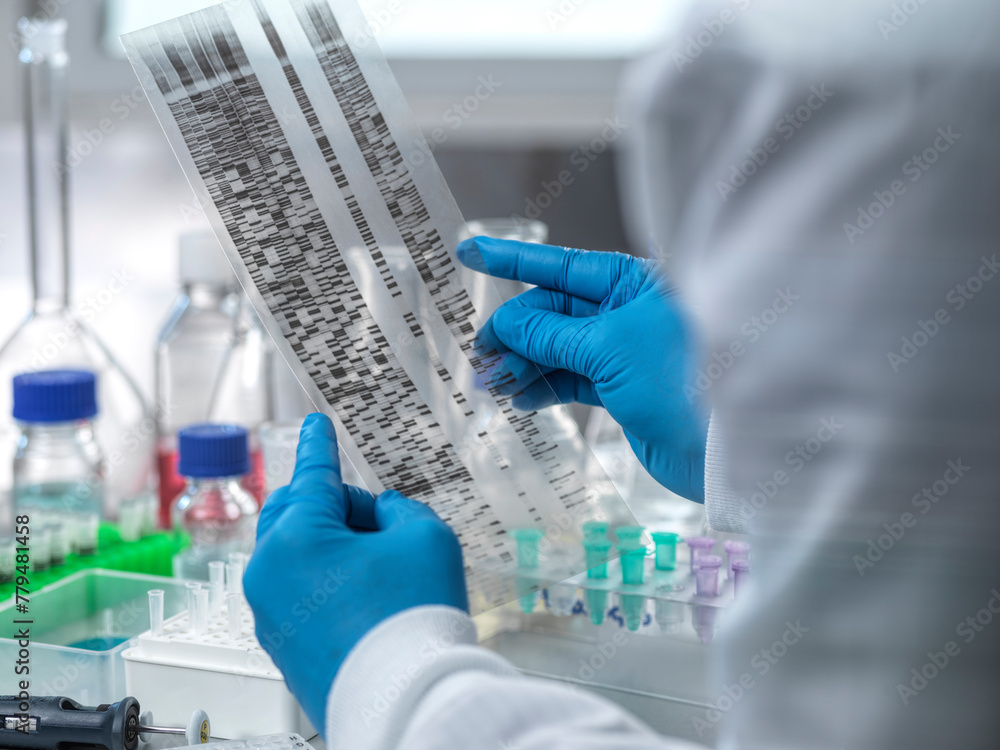 Scientist examining DNA autoradiogram in laboratory Scientist examining DNA autoradiogram in laboratory