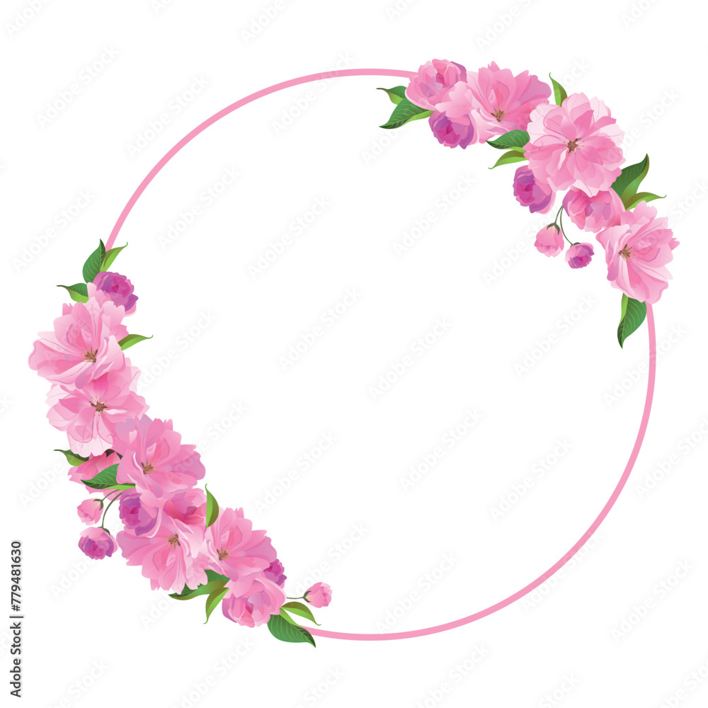 Vector wreath of sakura. Round frame with branches of cherry blossoms. Pink fluffy Sato-zakura flowers on a white background. Composition for a wedding invitation, congratulations on Mother's Day.