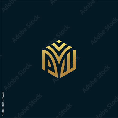 PW hexagon logo vector. Develop, natural, luxury, modern, finance logo, strong, suitable for your company.