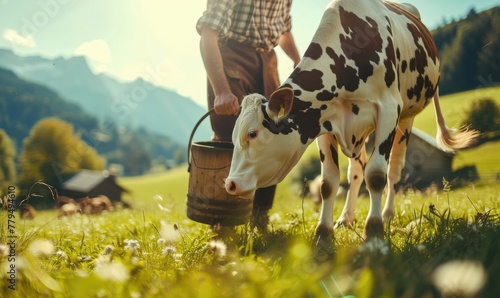 Farmer milking a cow on beautiful meadow. Wooden bucket for milk in his hands photo