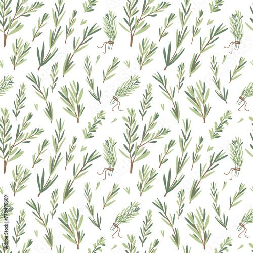 Rosemary herbs branch seamless pattern. Rosemary plant green leaves repeat background. Botanic endless cover. Vector hand drawn illustration.