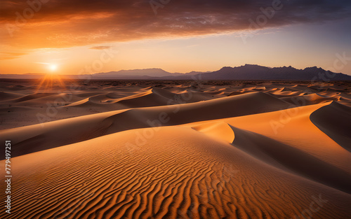 Sunset at Sahara Desert, dramatic shadows on sand dunes, warm orange glow, endless horizon