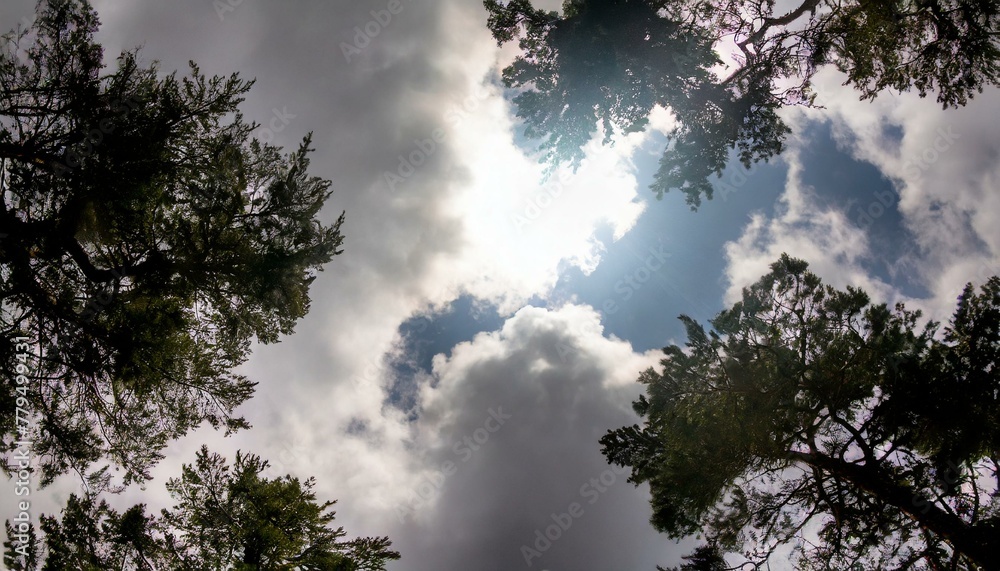 A dramatic sky that foreshadows the beginning of a story. A dramatic sky that foreshadows the beginning of a story.