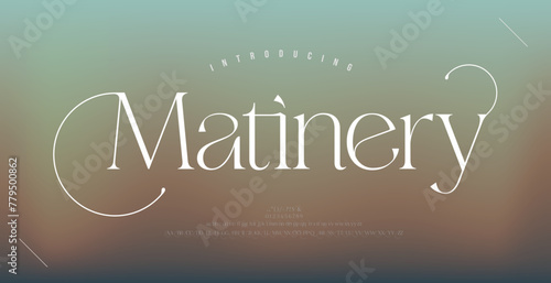 Luxury elegant alphabet letters logo font and number. Classic Vintage Serif Lettering Minimal Fashion. Typography decoration fonts for, wedding, logos. vector illustration