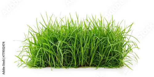 green grass cut out field transparent background png file