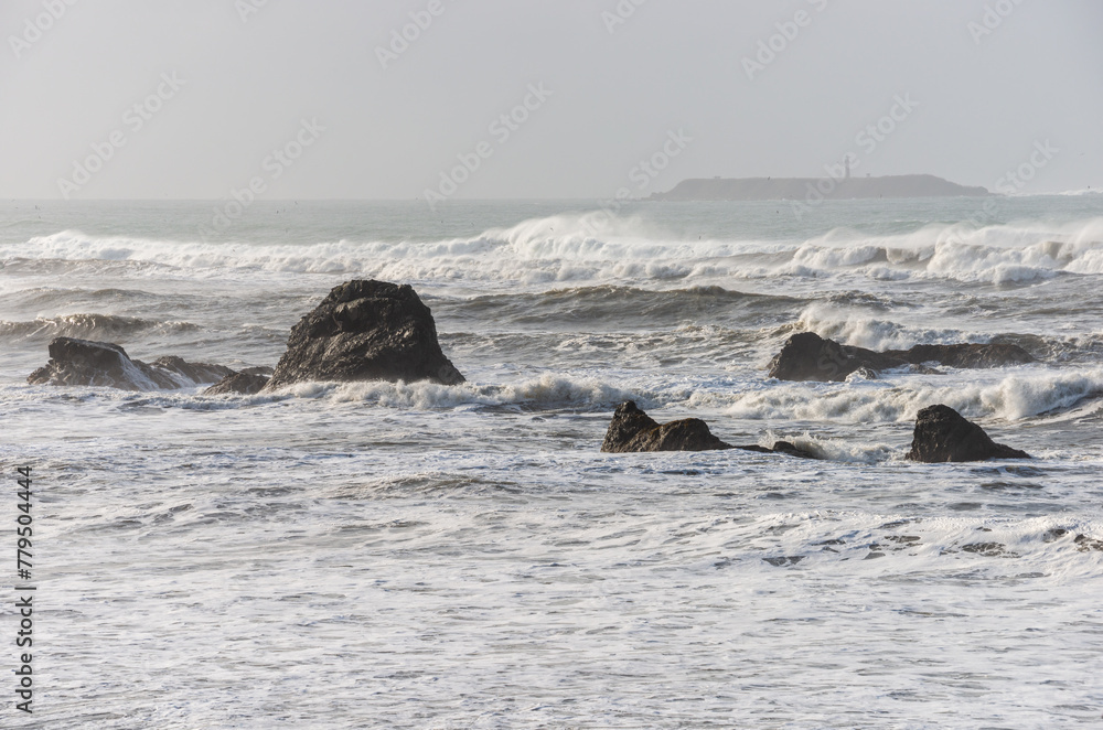 Obraz premium Coastal Rock Formations at Ruby Beach in Olympic National Park in Washington State