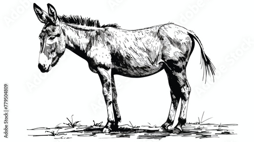 Standing donkey. ink black and white drawing Flat vector