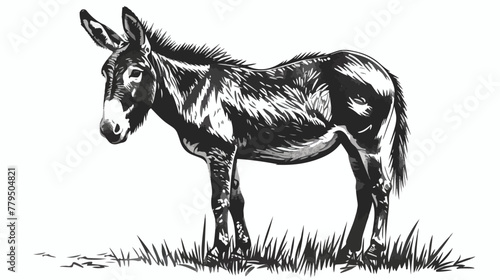 Standing donkey. ink black and white drawing Flat vector