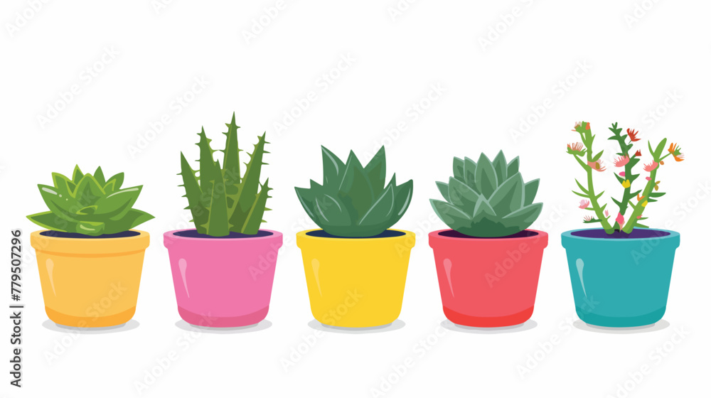 Succulent Plants in the Flowerpot. Flat Design