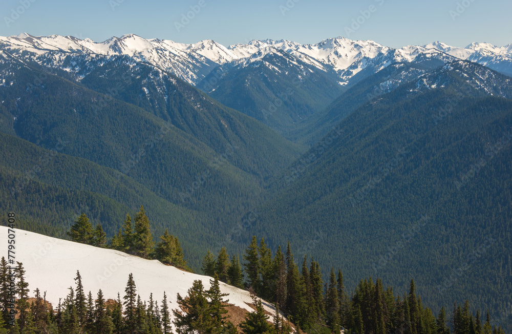 Hurricane Ridge in Olympic National Park