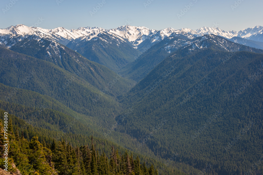Hurricane Ridge in Olympic National Park Hurricane Ridge in Olympic National Park
