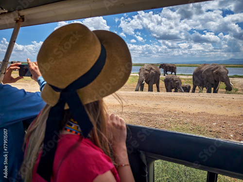 Rear view of girl looking at elephants under trees, from a safari jeep