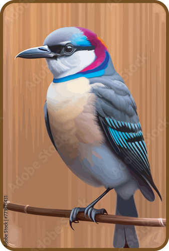 nice colorful birds vector illustrationn photo