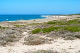 Sardegna, veduta della costa di Maimoni, vicino a Cabras, Oristano, Italia, Europa occidentale 