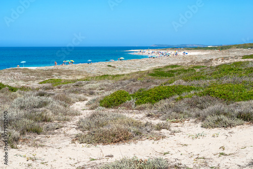 Sardegna, veduta della costa di Maimoni, vicino a Cabras, Oristano, Italia, Europa occidentale  photo