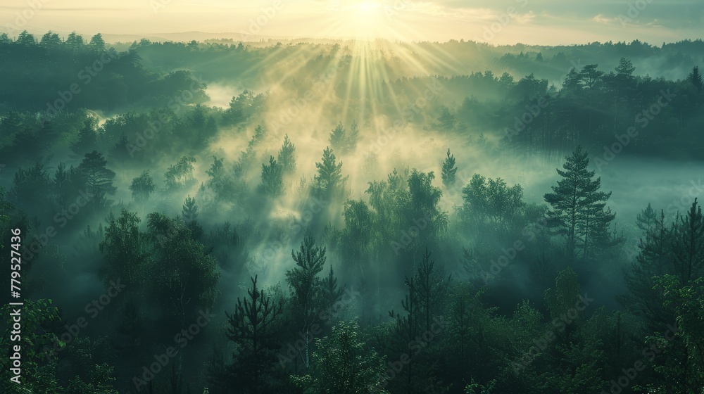 Obraz premium nature background captures a magical sunrise with rays piercing through the mist over a lush green forest, creating a peaceful and revitalizing scene.