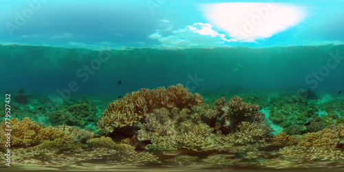 Underwater fish reef marine. Tropical colourful underwater seascape. Philippines. Virtual Reality 360. © Alex Traveler