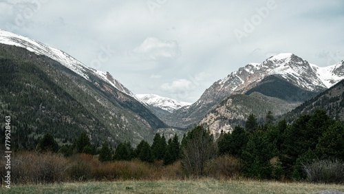 Trees on the valley with a mountain top covered with snow
