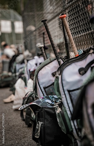 Картината върху платно Vertical closeup of bag and bats lined up behind the dugout