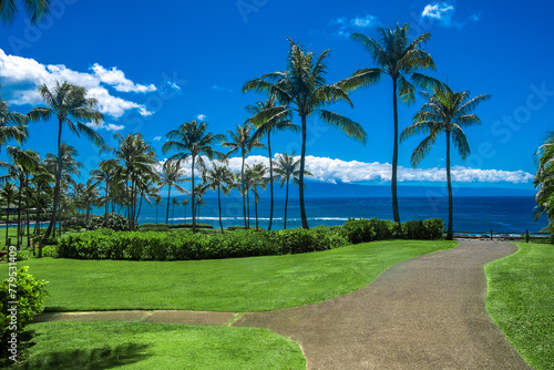 Beautiful view of a walkway surrounded by green grass and palm trees in Maui, Hawaii