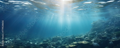 Underwater sea in blue sunlight