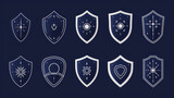 Collection of detailed shield icons showcasing various protection designs