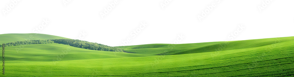 Obraz premium Rolling green hills, cut out