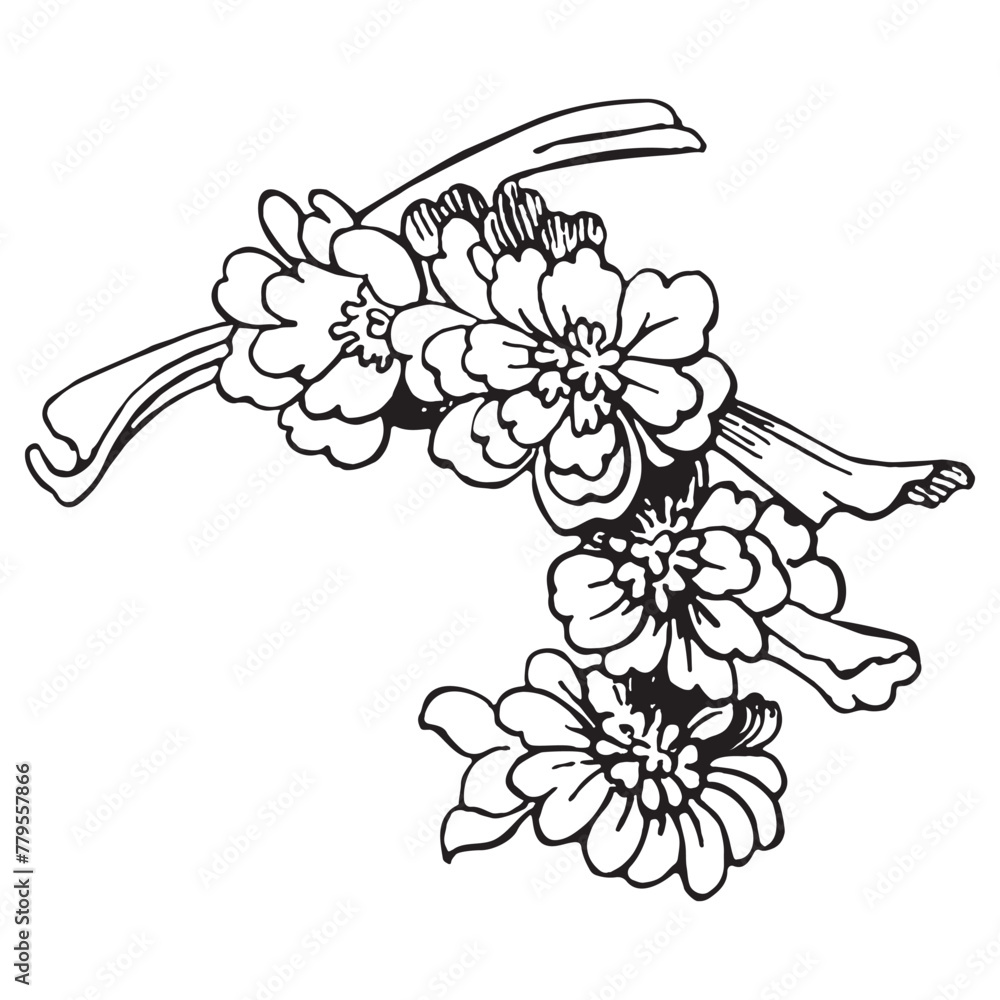 Festive Sakura isolated on white background. Oriental traditional, outline vector illustration. Japanese, Chinese, Korean trendy design, Celebration Event Greeting card Party Invitation Poster Flyer Festive Sakura isolated on white background. Oriental traditional, outline vector illustration. Japanese, Chinese, Korean trendy design, Celebration Event Greeting card Party Invitation Poster Flyer