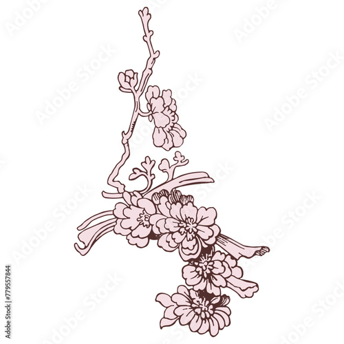 Festive Sakura isolated on white background. Oriental traditional, outline vector illustration. Japanese, Chinese, Korean trendy design, Celebration Event Greeting card Party Invitation Poster Flyer