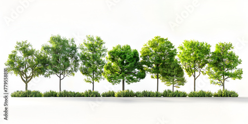 green grass and trees isolated on white background