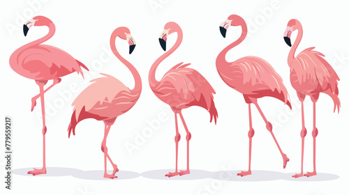 Cartoon pink flamingo bird Flat vector isolated on white © Prince