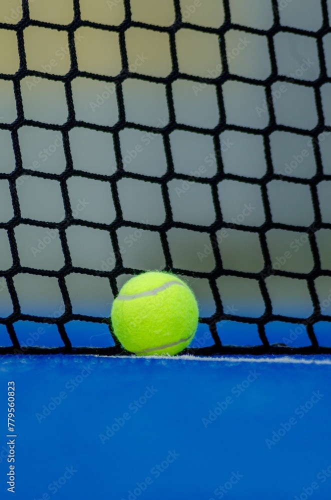 Paddle tennis ball in front of a blue court net.
